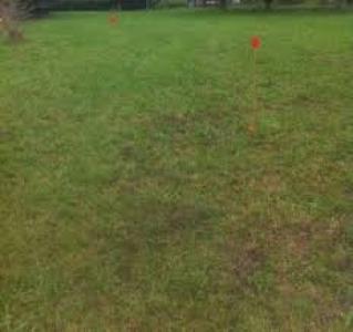 photo For sale Land NEUILLY-SUR-MARNE 93