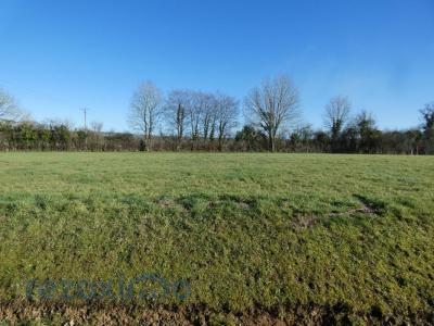 photo For sale Land SAINT-MARTIN-DES-BESACES 14