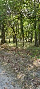 photo For sale Land CHARTRIER-FERRIERE 19