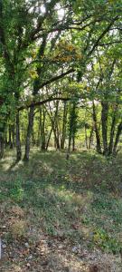 photo For sale Land CHARTRIER-FERRIERE 19