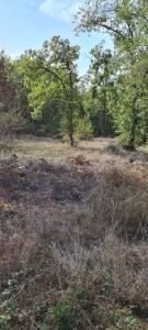 For sale Land CHARTRIER-FERRIERE  19