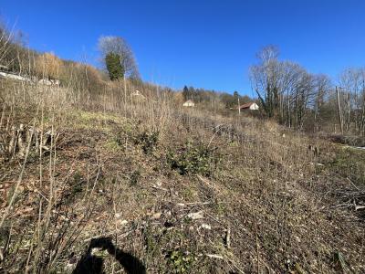 Vente Terrain SAULXURES-SUR-MOSELOTTE 88290