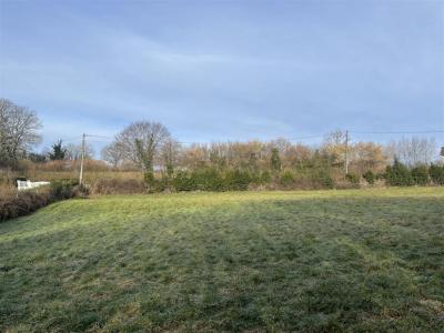 photo For sale Land MASLEON 87