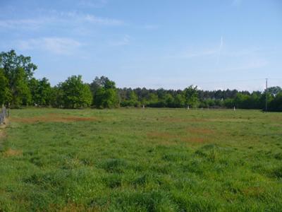 photo For sale Land THAIRE 17