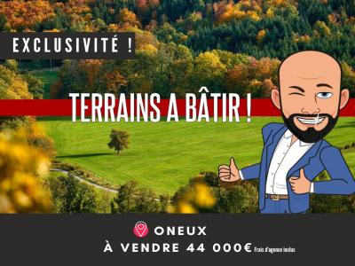 For sale Land ONEUX  80