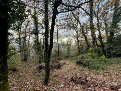 photo For sale Land BRIVE-LA-GAILLARDE 19