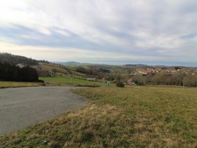 Vente Terrain MONTCHAL  42