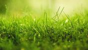 For sale Land Pagny-sur-moselle 54530 496 m2