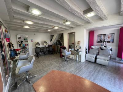 Vente Commerce OUZOUER-LE-MARCHE 41240