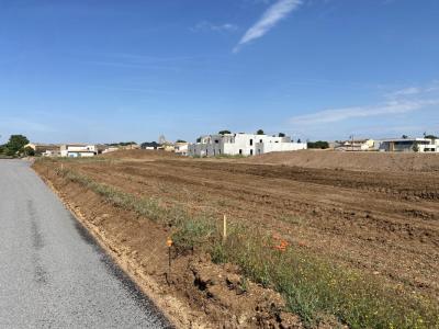 Vente Terrain POMEROLS 34810