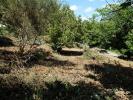 Land SAINT-ANDRE-DE-MAJENCOULES 