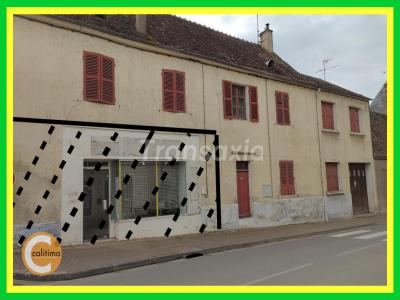 photo For sale House CHATELET 18