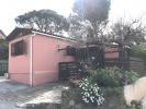 House BORMES-LES-MIMOSAS 