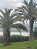 For sale Commerce Ajaccio  20000