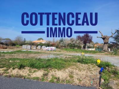 Vente Terrain CHEMILLE 49120