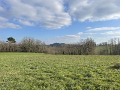 photo For sale Land BRIGNAC-LA-PLAINE 19