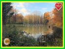 For sale Land Beaulieu-sur-loire  45630 5580 m2