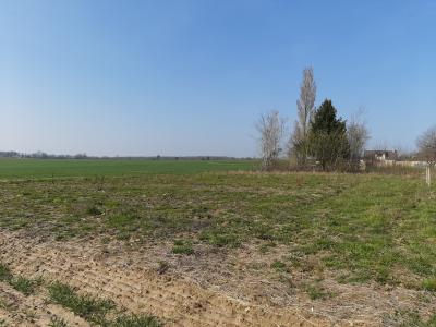 For sale Land LONGUEVILLE-SUR-SCIE  76