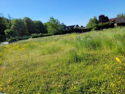 Vente Terrain LONGUEVILLE-SUR-SCIE 76590