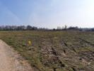 Acheter Terrain Longueville-sur-scie 40000 euros