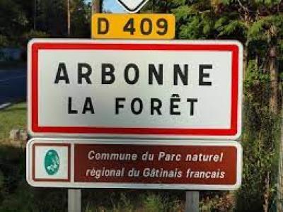 Vente Terrain ARBONNE-LA-FORET 77630