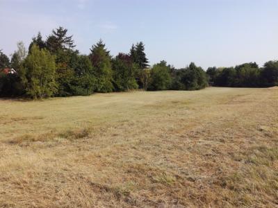 For sale Land BOIS-BERNARD  62