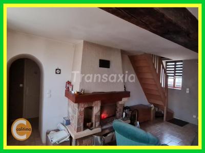 photo For sale House GARIGNY 18