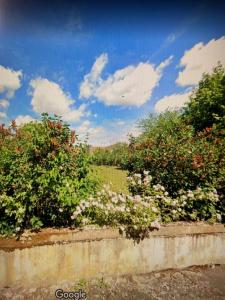 photo For sale Land JOUY-LE-MOUTIER 95