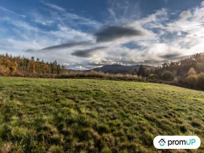 photo For sale Land CHABRELOCHE 63