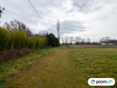 Vente Terrain VACQUIERS 31340