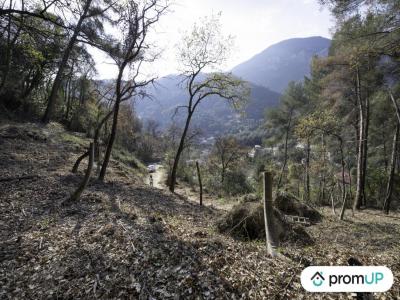 For sale Land GORBIO  06