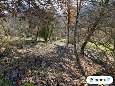 photo For sale Land ROQUESTERON 06