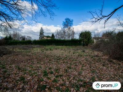 photo For sale Land DIEUPENTALE 82