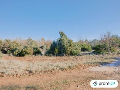 photo For sale Land RIANS 83