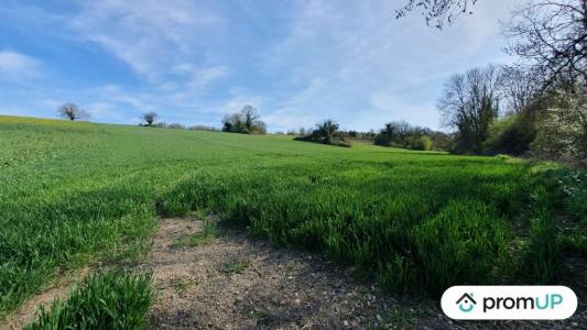 For sale Land VENIZY  89