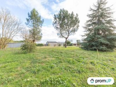 photo For sale Land GOOS 40