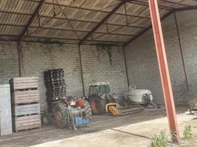 Location Commerce BALANZAC 17600