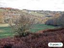 Acheter Terrain 1633 m2 Casteide-cami