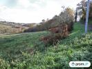 Acheter Terrain Casteide-cami Pyrenees atlantiques