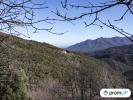 Acheter Terrain Maureillas-las-illas Pyrenees orientales