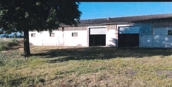 photo For rent Commerce CASTELNAU-PICAMPEAU 31