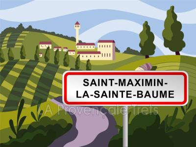 photo For sale Land SAINT-MAXIMIN-LA-SAINTE-BAUME 83