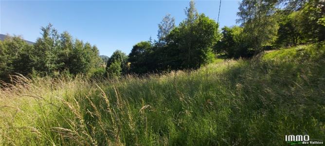 photo For sale Land THILLOT 88