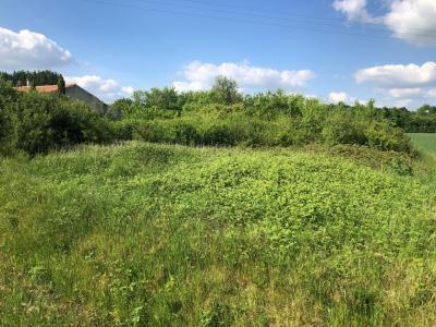 photo For sale Land SAINT-JEAN-D'ANGELY 17