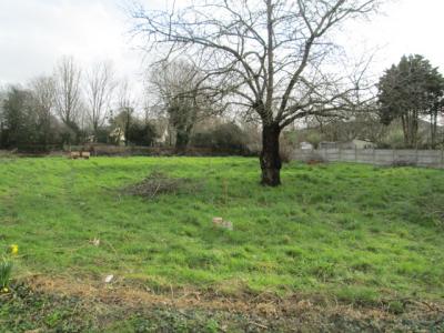 photo For sale Land CHATEAU-GONTIER 53
