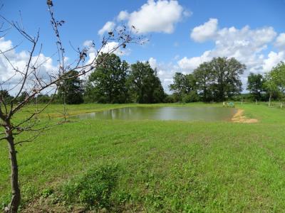 photo For sale Land BECON-LES-GRANITS 49