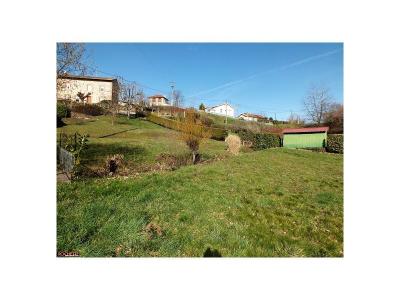 photo For sale Land BALBIGNY 42