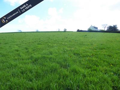 photo For sale Land BAGUER-PICAN 35