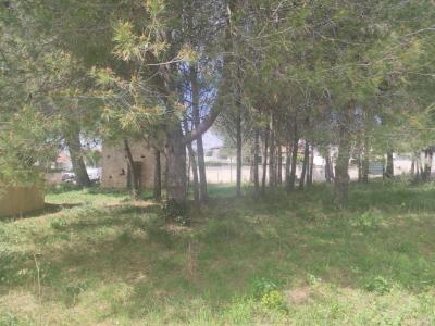 For sale Land BOUZIGUES  34