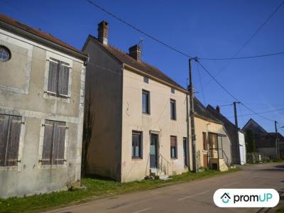 Vente Maison 4 pices SAINTS 89520